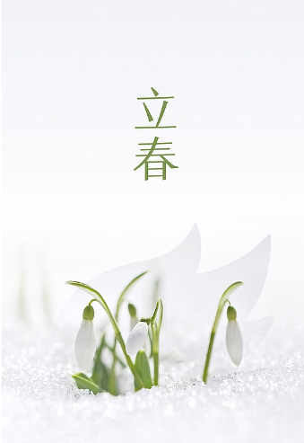 二十四节气主题海报《立春》原创设计 · 承接节气/节庆/品牌借势海报